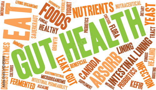 Gut Health Word Cloud On a White Background. 