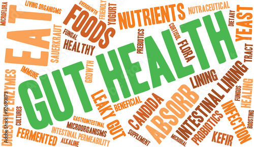 Gut Health Word Cloud On a White Background. 