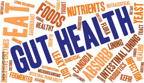 Gut Health Word Cloud On a White Background. 