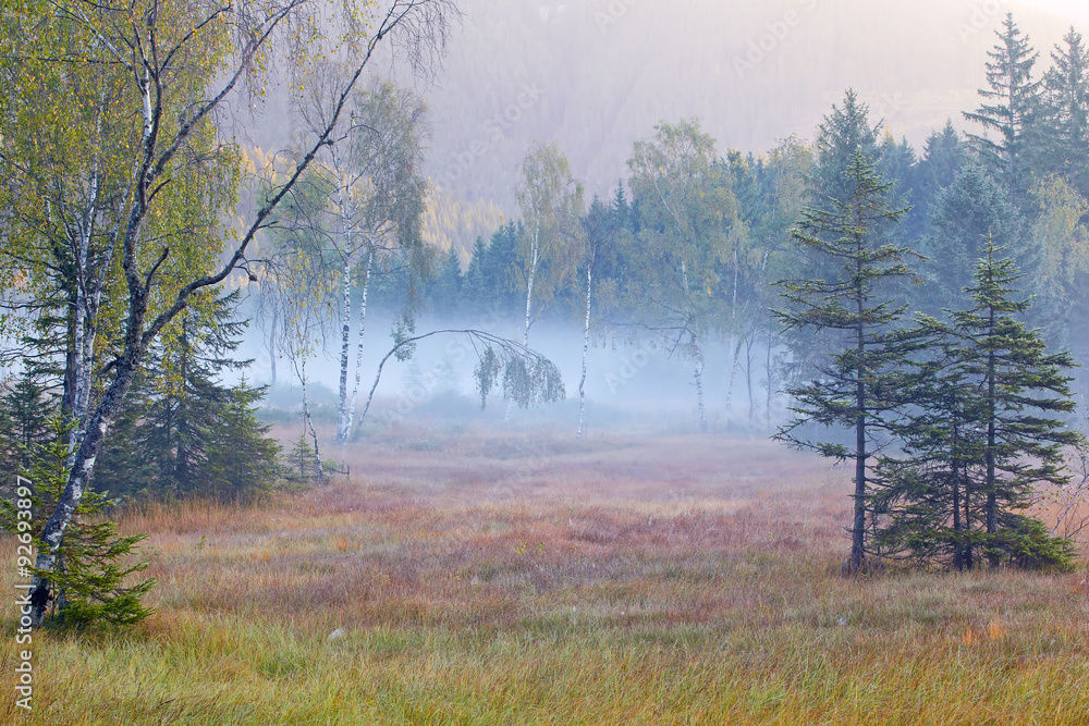 Naklejka premium Hochmoor Felbertauern