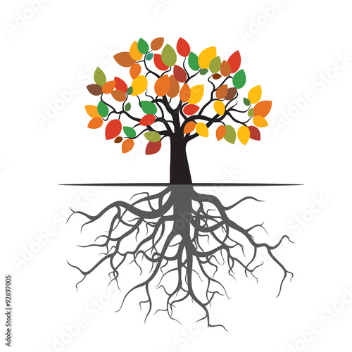 Autumn Tree with Color Leafs and Roots. Vector Illustration.