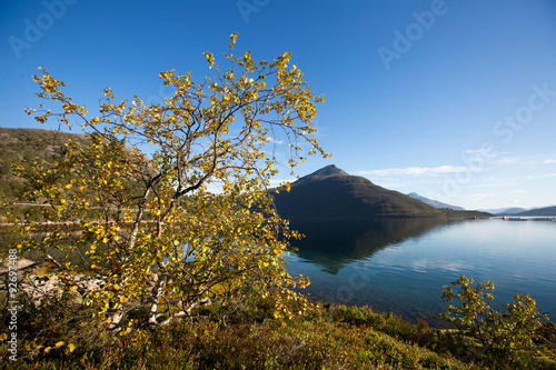 Beautiful vibrant summer norwegian landscape with coast of fjord with a blue sky, blue clear water, norway, norge photo