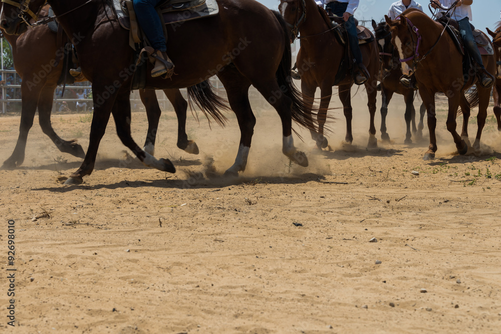 Fototapeta premium Gallop of a group of horses