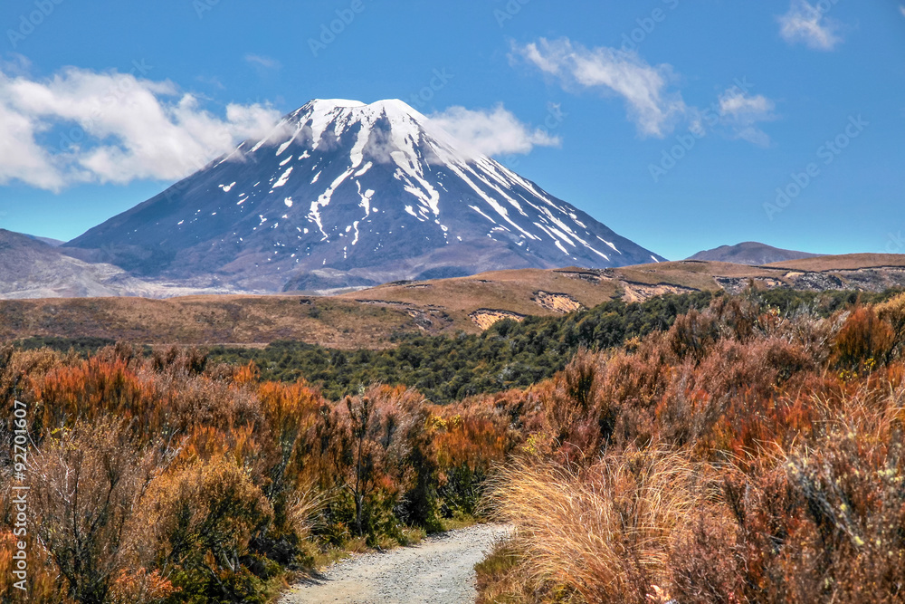 Fototapeta premium Mount Ngauruhoe im Tongariro Nationalpark