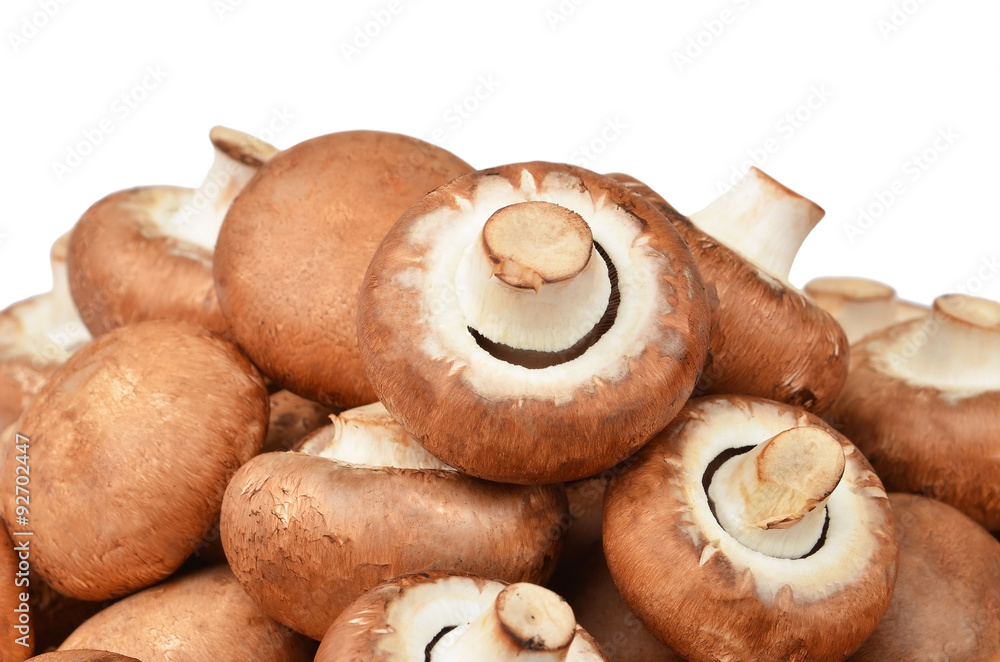 Champignon (True mushroom), isolated on white background Champignon (True mushroom), isolated on white background