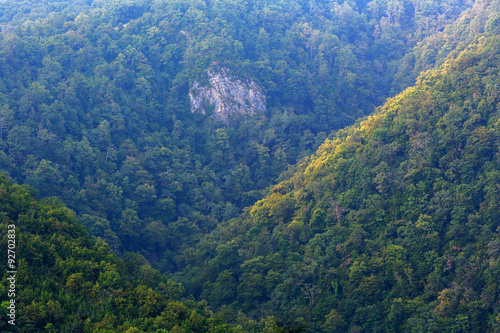 Highland view with green forests