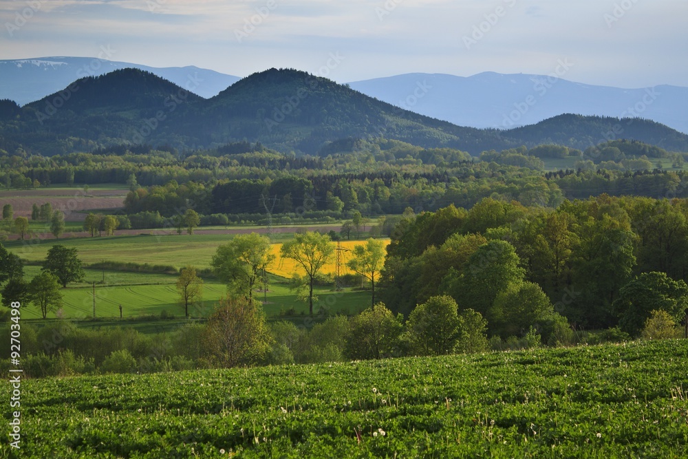 Obraz premium sokole mountains in Poland - Sudety