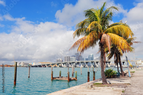 Miami city tropical view © rabbit75_fot
