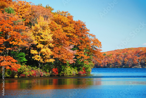 Autumn foliage over lake