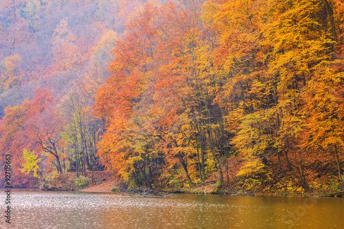 Autumn lake Hamori-Hungary