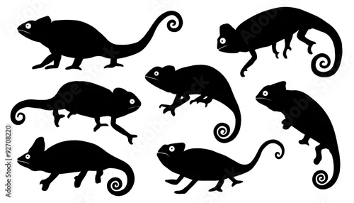 Fototapeta kameleon sylwetki