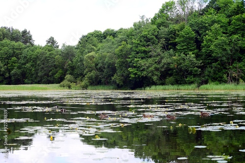 Green lake in Vilnius city near Santariskes