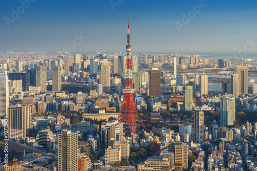 Skyline of Tokyo Cityscape with Tokyo Tower at sunset, Japan