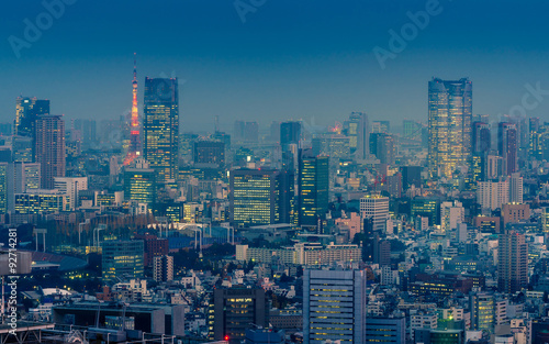 Tokyo cityscape © worldwide_stock
