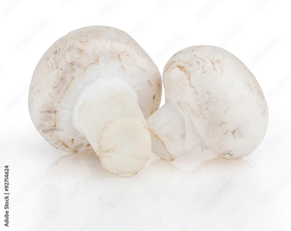 Mushrooms isolated on white background with clipping path Mushrooms isolated on white background with clipping path