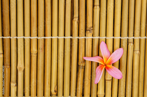 Tropical white frangipani on bamboo