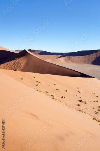 Deserto della Namibia