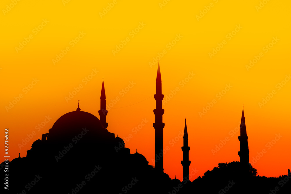 Istanbul Mosque Silhouette