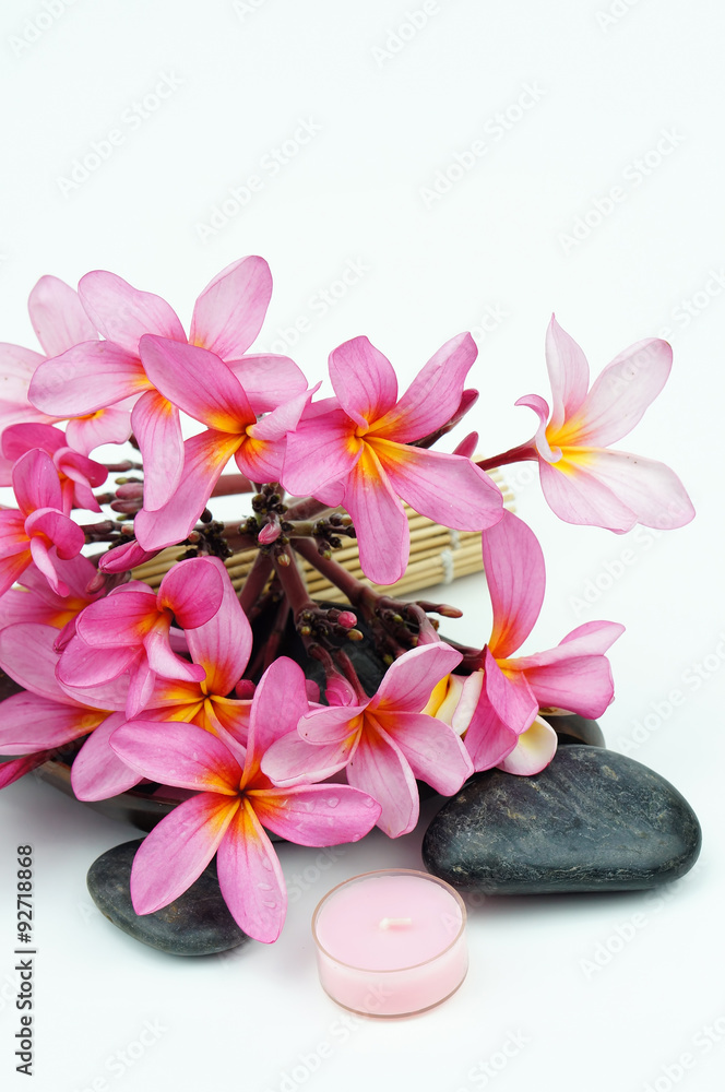 Pink Frangipani flowers on white background.Tropical spa concept Pink Frangipani flowers on white background.Tropical spa concept