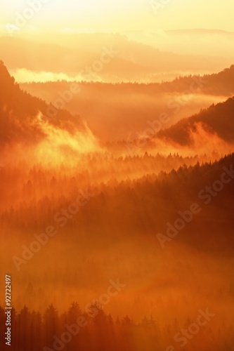 Colorful autumn daybreak. Misty awakening in a beautiful hills. Peaks of hills are sticking out from vivid fog