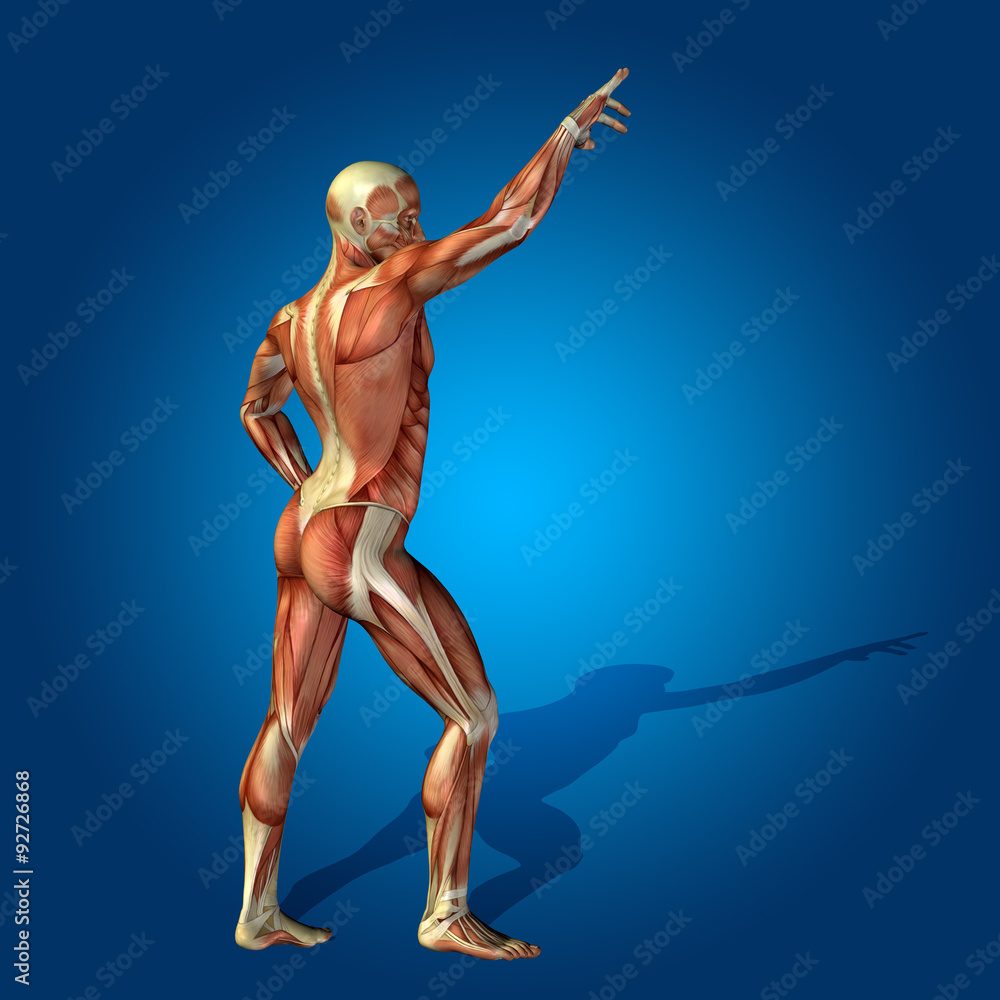 Conceptual 3D human man health anatomy Conceptual 3D human man health anatomy