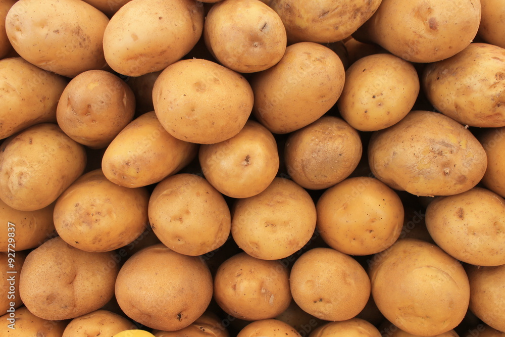 Potatoes are a great harvest in the autumn table
Potatoes are a great harvest in the autumn table