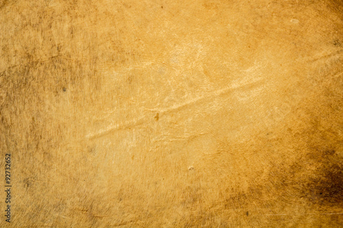 Texture old drum or leather background.
