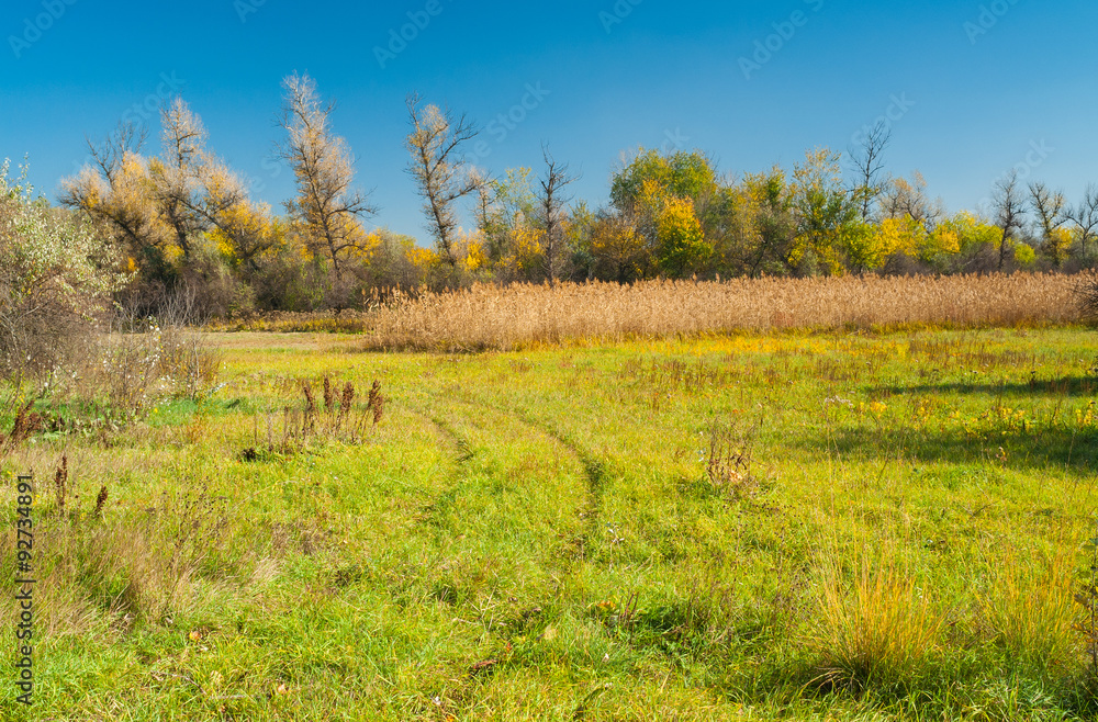 Landscape with autumnal meadow in central Ukraine