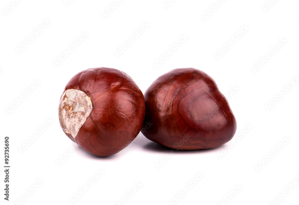 Two chestnut without shell isolated on white background Two chestnut without shell isolated on white background