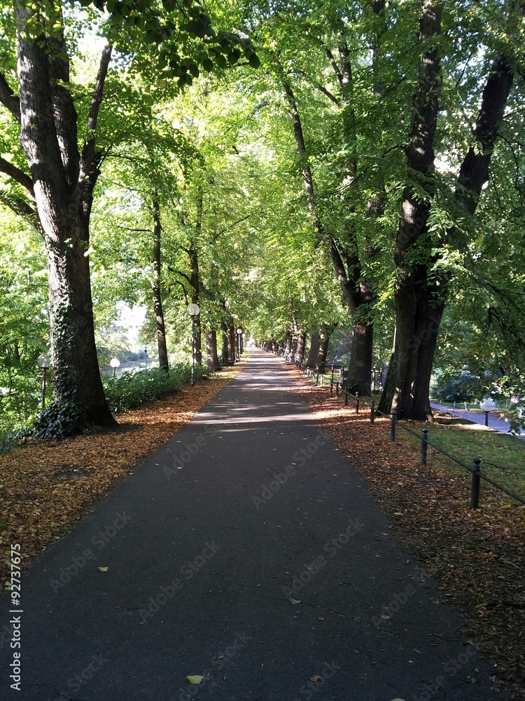 Eine Allee im Herbst Eine Allee im Herbst