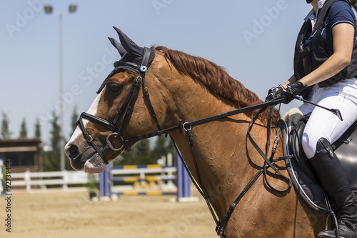Close up of the horse during competition matches riding round ob