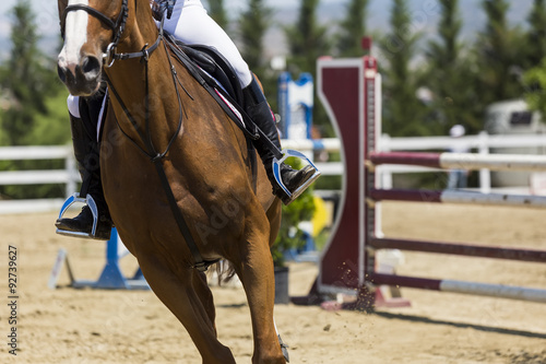 Close up of the horse during competition matches riding round ob