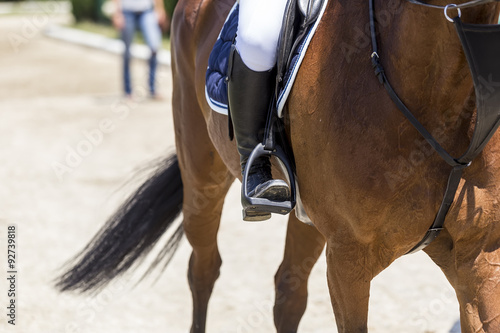 Close up of the horse during competition matches riding round