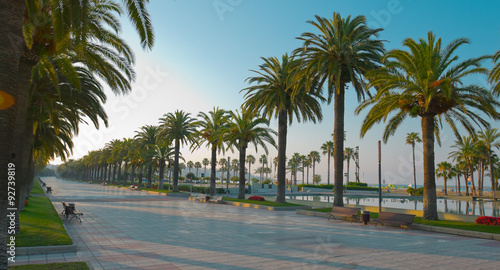 Palm trees promenade  Salou in Spain  Europe