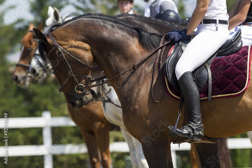 Close up of the rider on a horse during competition matches ridi © ververidis