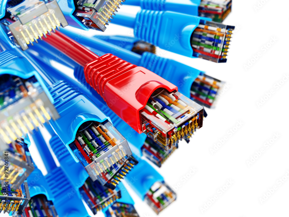 LAN network connection Ethernet RJ45 cables. Choise of provider