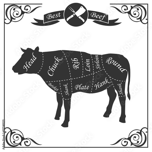 Beef cuts for butcher's shop isolated on a white background. Vector illustration.