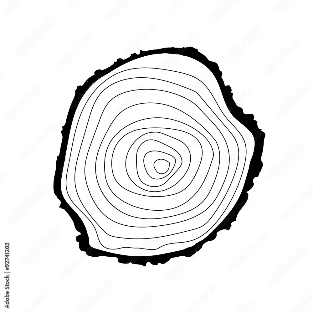 Fototapeta premium tree rings icon
