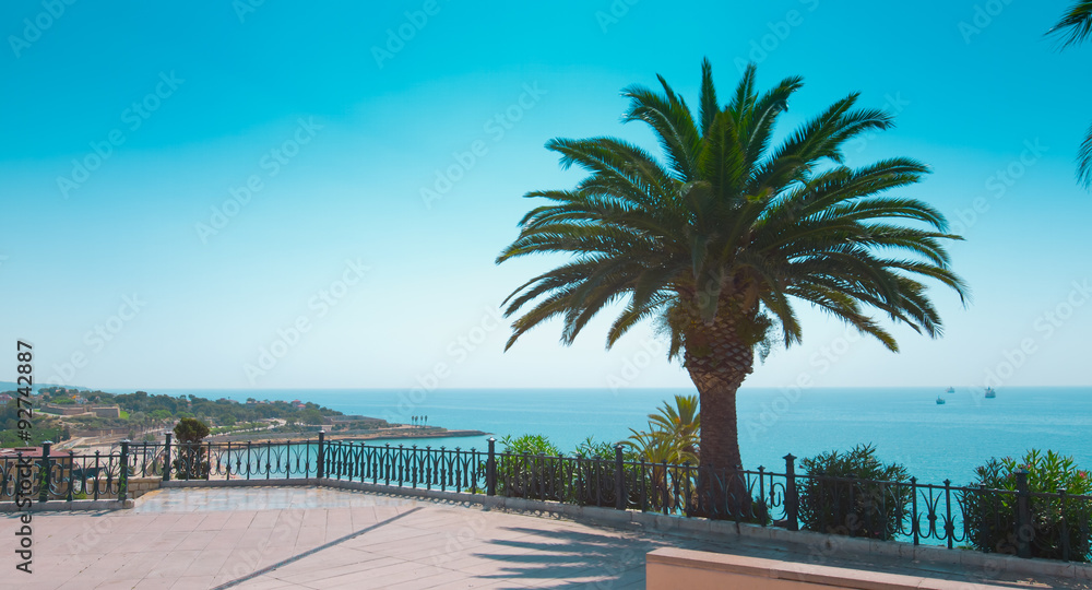 Tarragona balcony, beautiful sea view and palm tree, Costa Daurada, Spain
