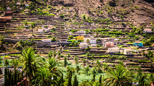 Valle Gran Rey: Terraced fields, La Gomera at the Canary Islands photo