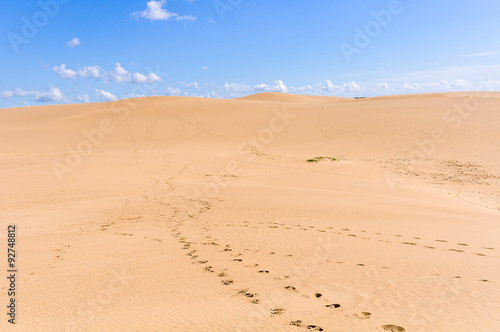 Sand dunes in Cabo Polonio  Uruguay