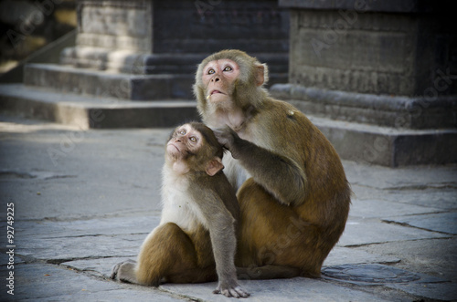 Obraz na płótnie Kathmandu 002