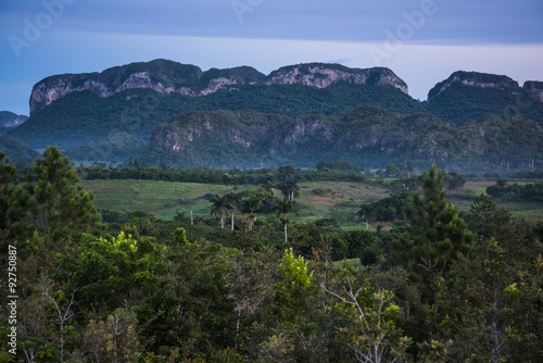 Landscape of mogote in Vinales Valley in Cuba.