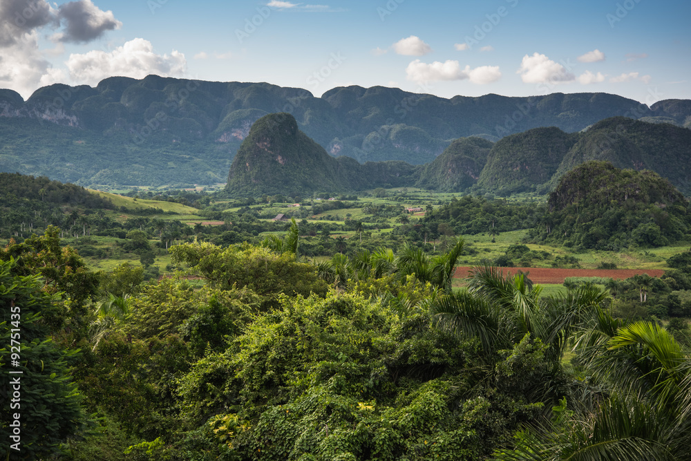 Obraz premium Panoramic view over landscape with mogotes in Cuba