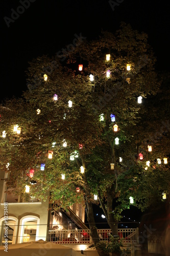 Wallpaper Mural ağaç lambalarla süslenmiş Torontodigital.ca