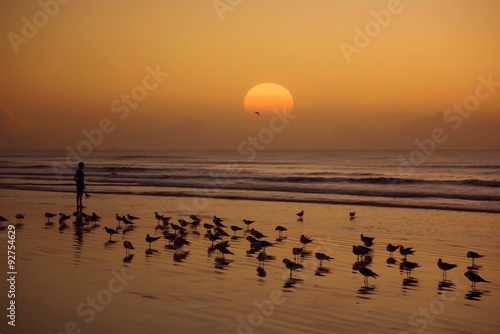 sunrise and silhouette of boy and birds at the beach.