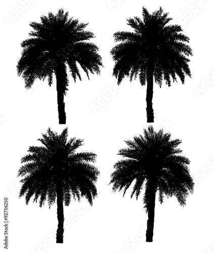 four palm trees silhouette collection isolated on a white backgr
