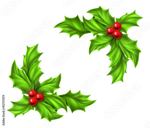 Christmas Holly Design