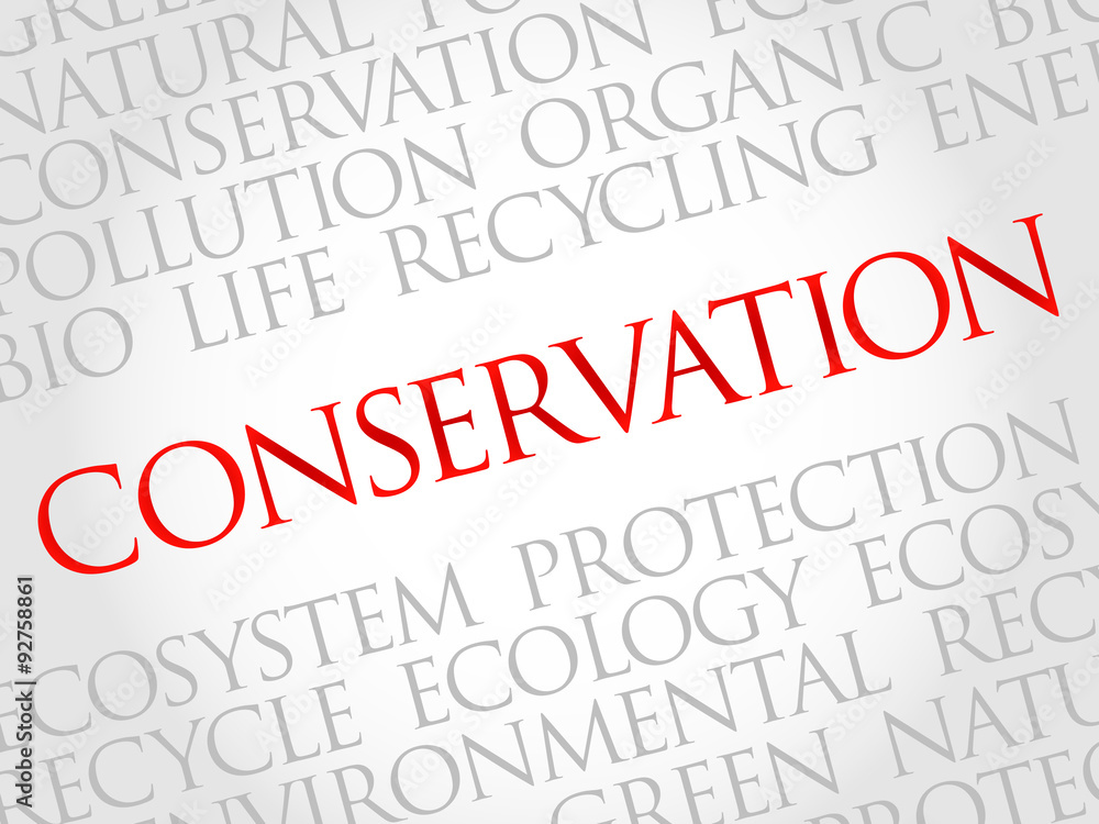 Conservation word cloud, environmental concept Conservation word cloud, environmental concept
