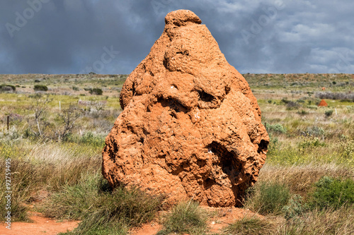 Giant termitary termites nest in Australia photo